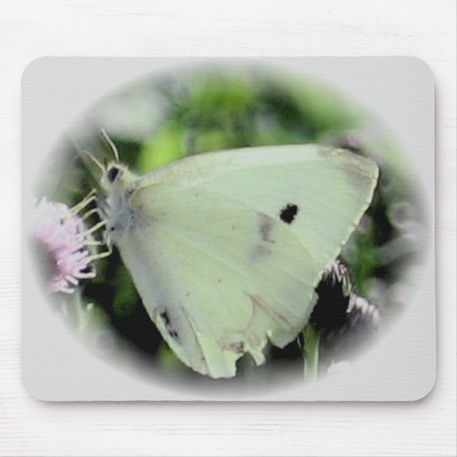 Alfombrilla De Ratón Colección de la mariposa (Frente)