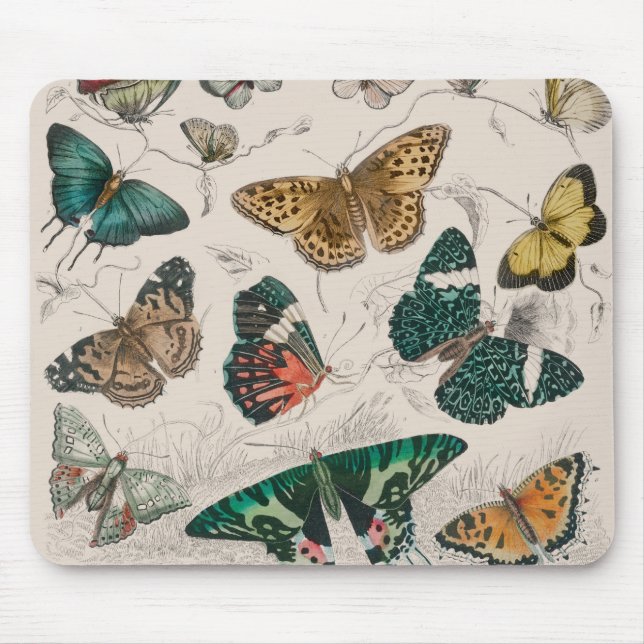 Alfombrilla De Ratón Colección de mariposa Mariposas antiguas (Frente)