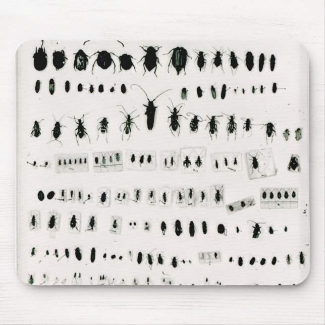 Alfombrilla De Ratón Colección del insecto de Darwin (Frente)