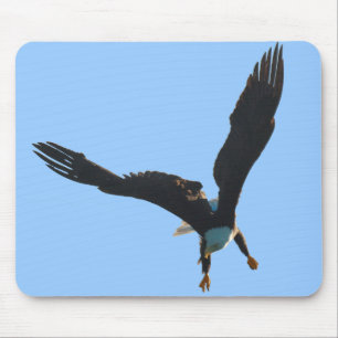 Alfombrilla De Ratón Colección del vuelo de Eagle calvo