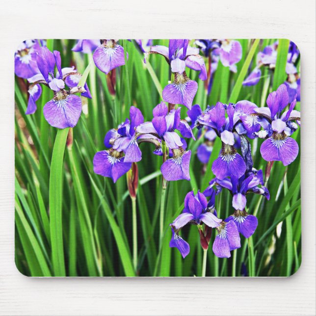 Alfombrilla De Ratón Colección Iris (Frente)