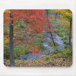 Alfombrilla De Ratón Coles Creek bordeado de arce de otoño cerca