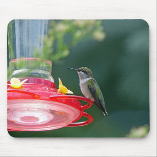 Alfombrilla De Ratón Colibrí