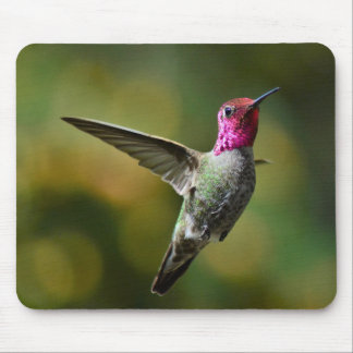 Alfombrilla De Ratón Colibrí