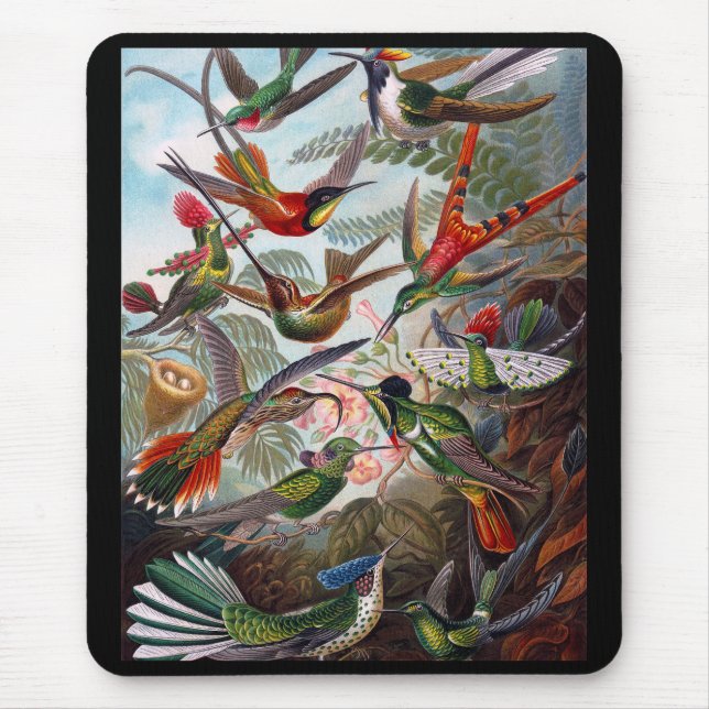 Alfombrilla De Ratón Colibrí (Frente)