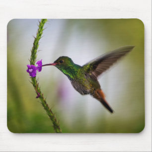 Alfombrilla De Ratón colibrí