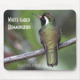 Alfombrilla De Ratón colibrí Blanco-espigado Mousepad