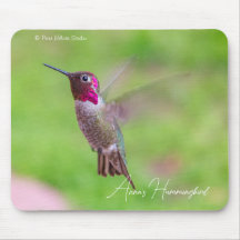 Colibrí de Anna