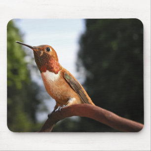 Alfombrilla De Ratón Colibrí de Rufous para hombres - Mousepad