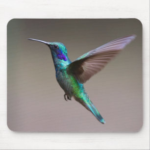 Alfombrilla De Ratón Colibrí en vuelo