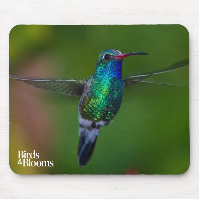 Alfombrilla De Ratón Colibrí flotante (Frente)