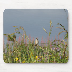 Alfombrilla De Ratón Colibrí gorda