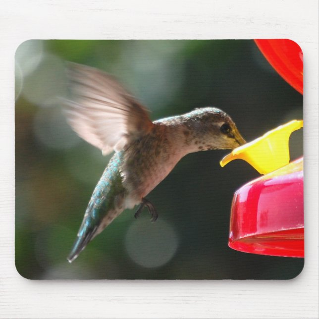 Alfombrilla De Ratón Colibrí, mousepad (Frente)