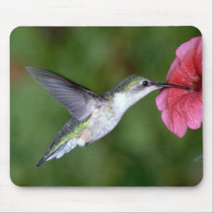 Alfombrilla De Ratón colibrí Rubí-throated (femenino) con la petunia