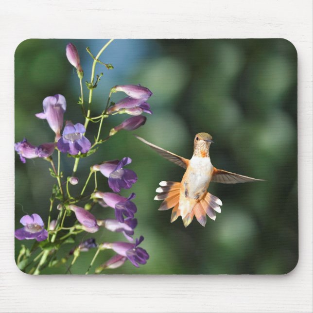 Alfombrilla De Ratón Colibrí y flor (Frente)