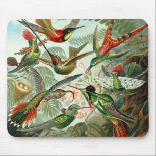 Alfombrilla De Ratón Colibríes de Ernst Haeckel, aves vitícolas