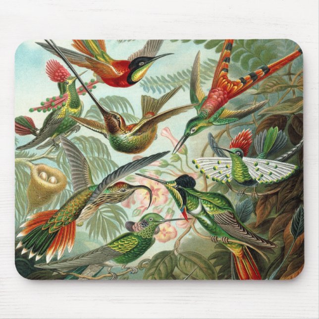 Alfombrilla De Ratón Colibríes de Ernst Haeckel, aves vitícolas (Frente)