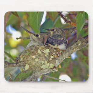 Alfombrilla De Ratón Colibríes del bebé - Mousepad