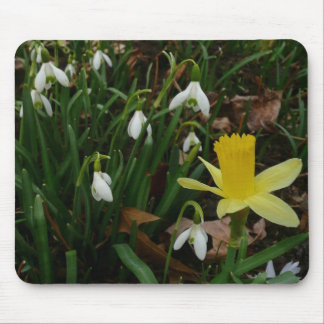 Alfombrilla De Ratón Colirio y floral de primavera de Daffodil
