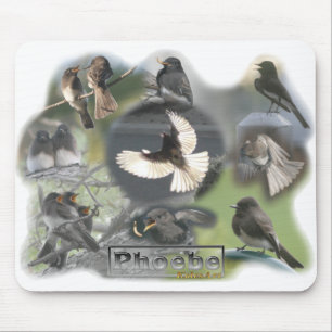 Alfombrilla De Ratón Collage de fotos de los pájaros de Phoebe