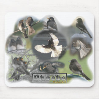 Alfombrilla De Ratón Collage de fotos de los pájaros de Phoebe
