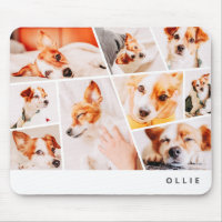 Collage de fotos de mascotas modernos y simples Pe