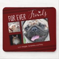 Collage de fotos Mascota de Forever Friends