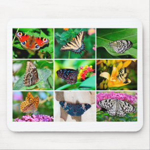 Alfombrilla De Ratón Collage de mariposa magnífica, 9 fotos