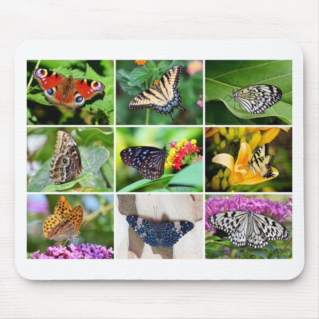 Alfombrilla De Ratón Collage de mariposa magnífica, 9 fotos (Frente)