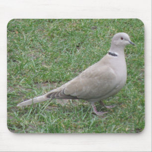 Alfombrilla De Ratón Collared Dove Mousepad