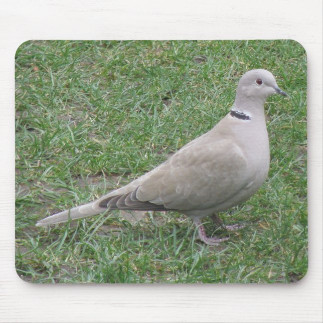 Alfombrilla De Ratón Collared Dove Mousepad (Frente)