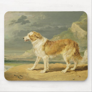 Alfombrilla De Ratón collie Áspero-revestido, 1809 (aceite a bordo)