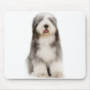 Alfombrilla De Ratón Collie barbudo Mousepad