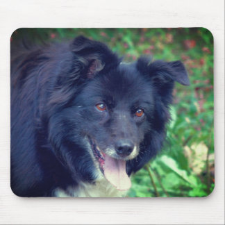 Alfombrilla De Ratón Collie de frontera sonriendo