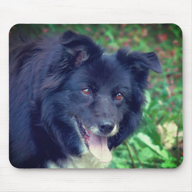 Alfombrilla De Ratón Collie de frontera sonriendo (Frente)