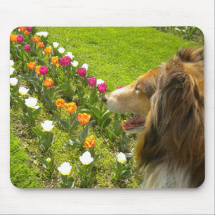 Alfombrilla De Ratón Collie N More Tulips Mouse Pad