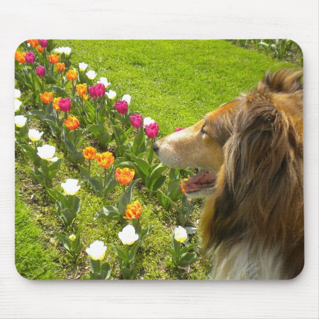 Alfombrilla De Ratón Collie N More Tulips Mouse Pad (Frente)
