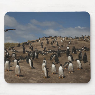 Alfombrilla De Ratón colonia de Pingüino de Gentoo (Pygoscelis papua) e
