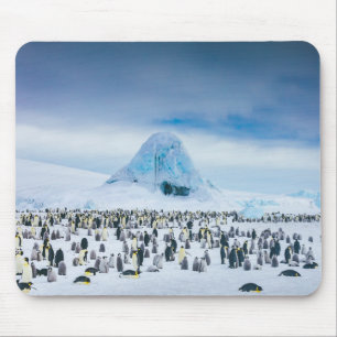 Alfombrilla De Ratón Colonia del pingüino de emperador