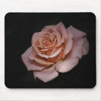 Color de rosa rosado