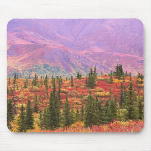 Alfombrilla De Ratón Color otoñal en el Parque Nacional Denali