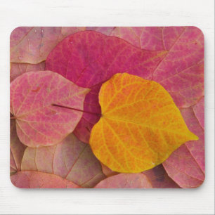 Alfombrilla De Ratón Color otoñal en Forest Pansy Redbud caído
