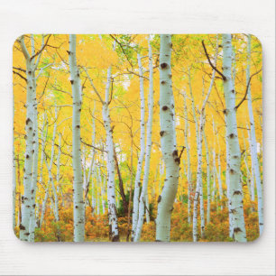 Alfombrilla De Ratón Colores de otoño de árboles de Aspen 1