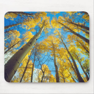 Alfombrilla De Ratón Colores de otoño de los árboles de Aspen 2