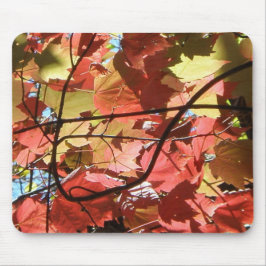 Alfombrilla De Ratón Colores de otoño Mousepad
