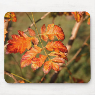 Alfombrilla De Ratón Colores Mousepad de las hojas de otoño