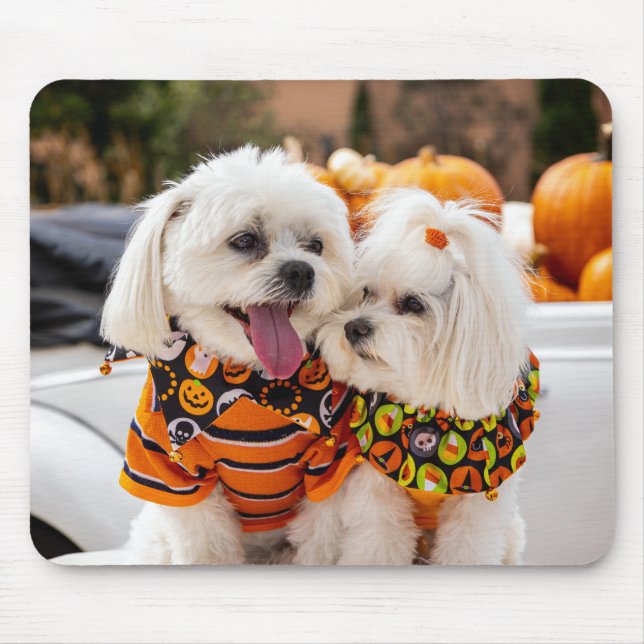 Alfombrilla De Ratón Colorida almohadilla de ratón para perros (Frente)