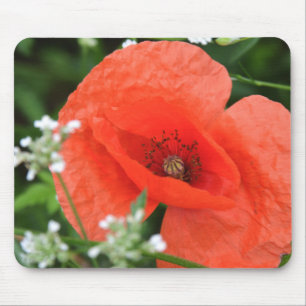 Alfombrilla De Ratón Colorida flor de amapola de verano en vegeta verde