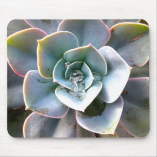 Alfombrilla De Ratón Colorido Suculento Mousepad #3