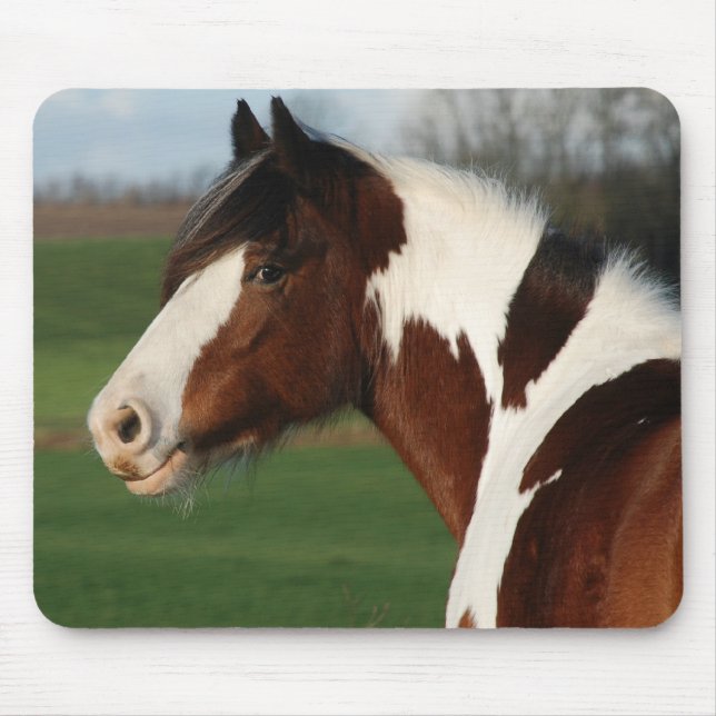 Alfombrilla De Ratón Comandante de Egehojs (Frente)